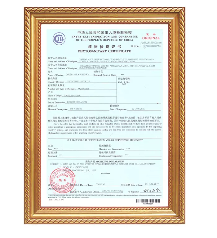 PHYTO CERT-STRAWBERRY