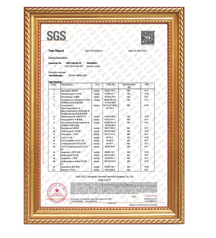 SGS-plum2