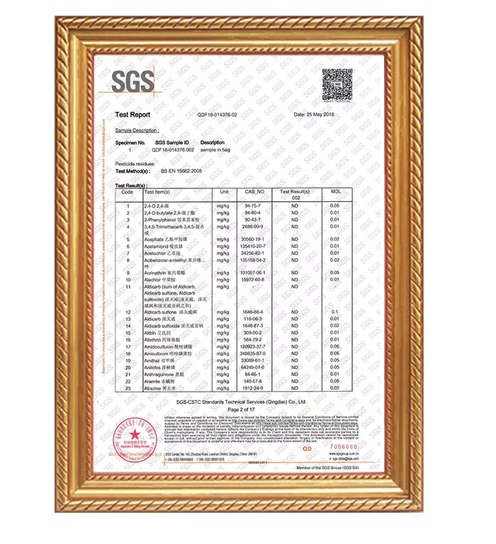 SGS-jujube2